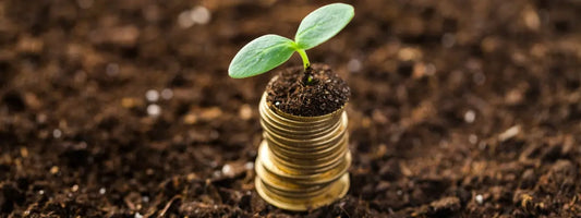 Banque éthiques et écologiques